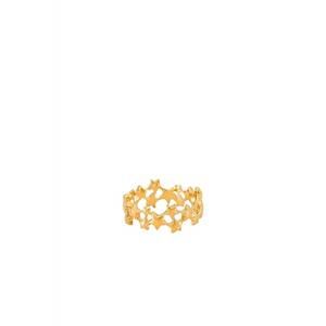 NEW LUV AJ stardust band ring in gold